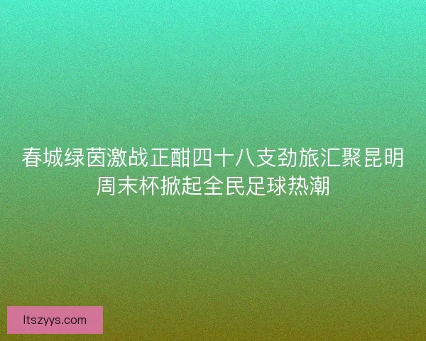 春城绿茵激战正酣四十八支劲旅汇聚昆明周末杯掀起全民足球热潮